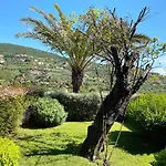 Pietraverdemare شقة Vallebona