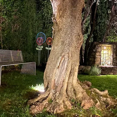 Διαμέρισμα Pietraverdemare Vallebona