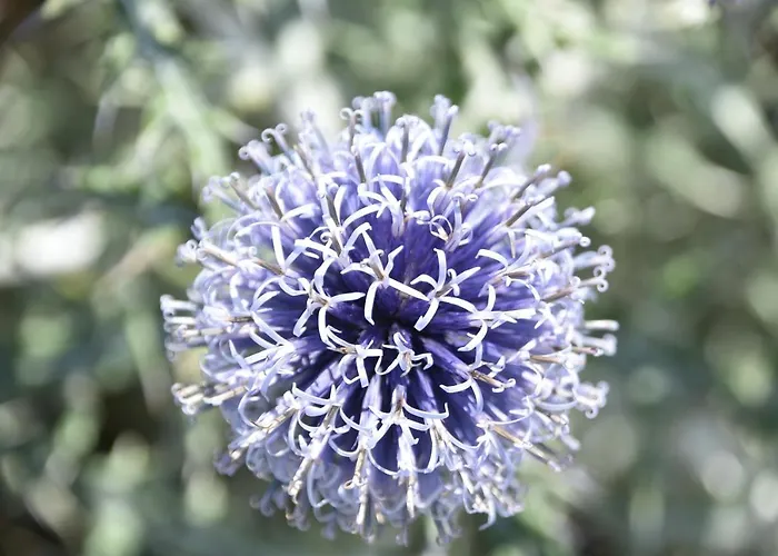 Pietraverdemare