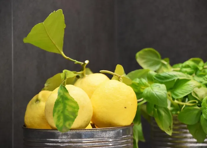 Pietraverdemare アパート Vallebona